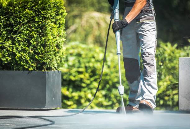 Best Roof Cleaning and Mildew Removal in Pine Knot, KY